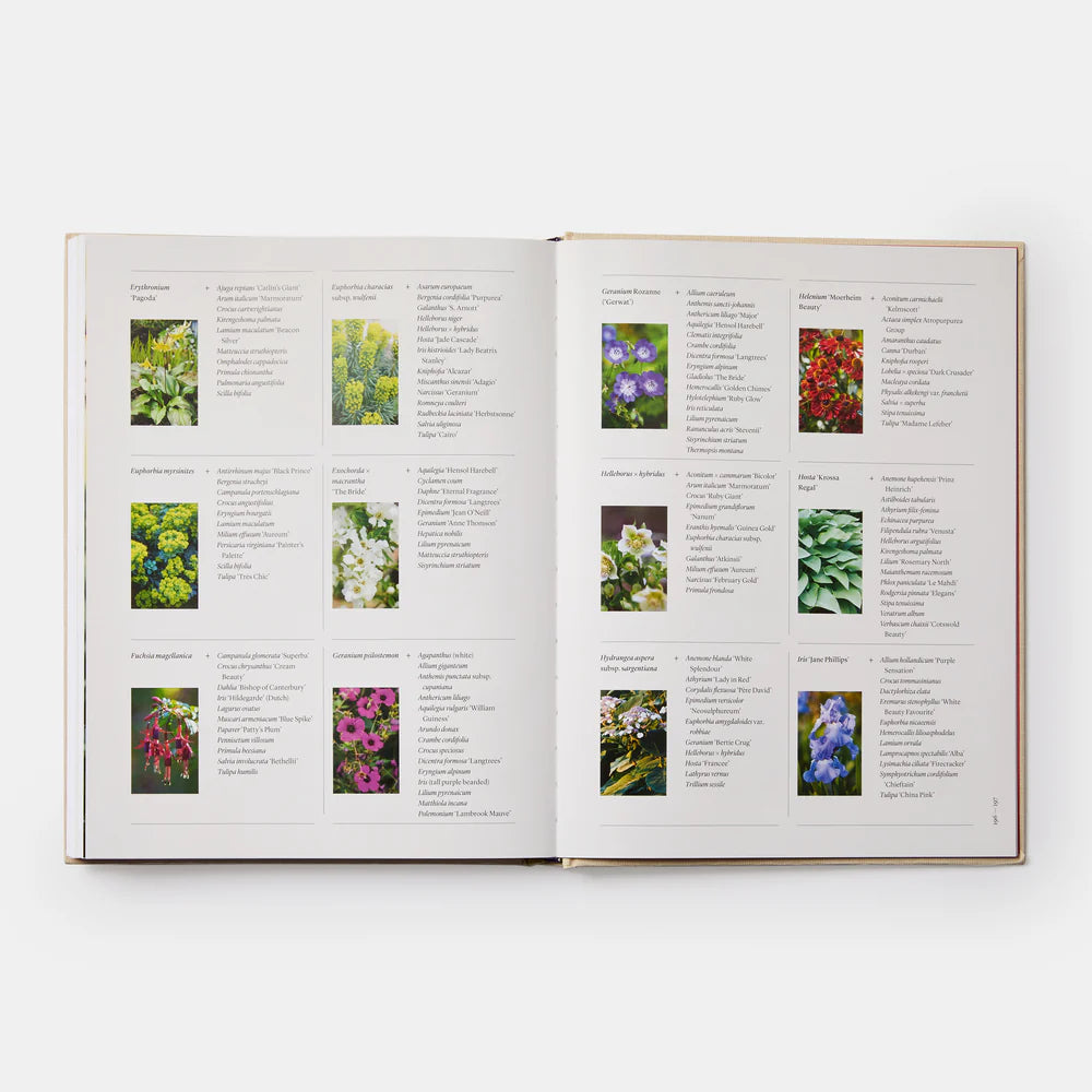 The Seasonal Gardener: Creative Planting Combinations by Anna Pavord