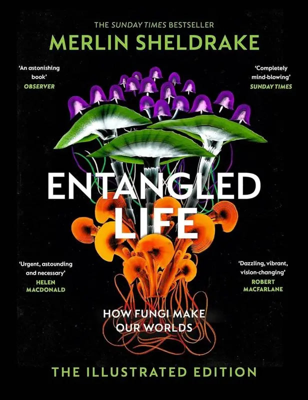 Entangled Life How Fungi Make Our Worlds, Change Our Minds and Shape Our Futures by Merlin Sheldrake [ILLUSTRATED EDITION]