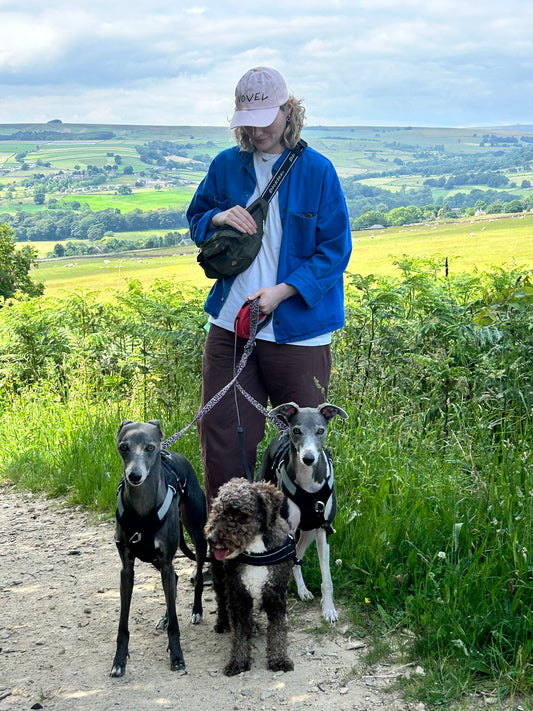 Novel dad cap - pink