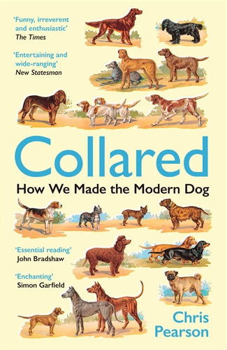 Collared: How We Made the Modern Dog - Chris Pearson