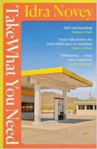 Take What You Need- Idra Novey
